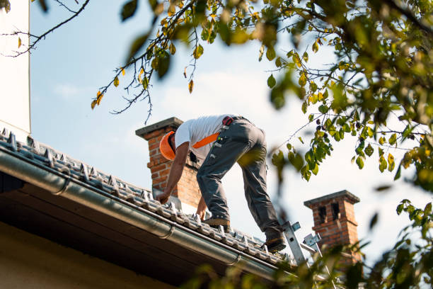 Best Roof Gutter Cleaning  in Fairburn, GA
